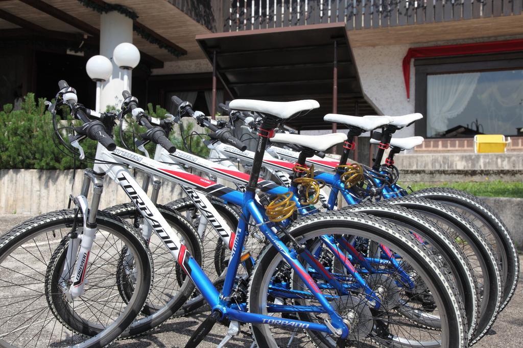 Nigritella Hotel Selva di Cadore