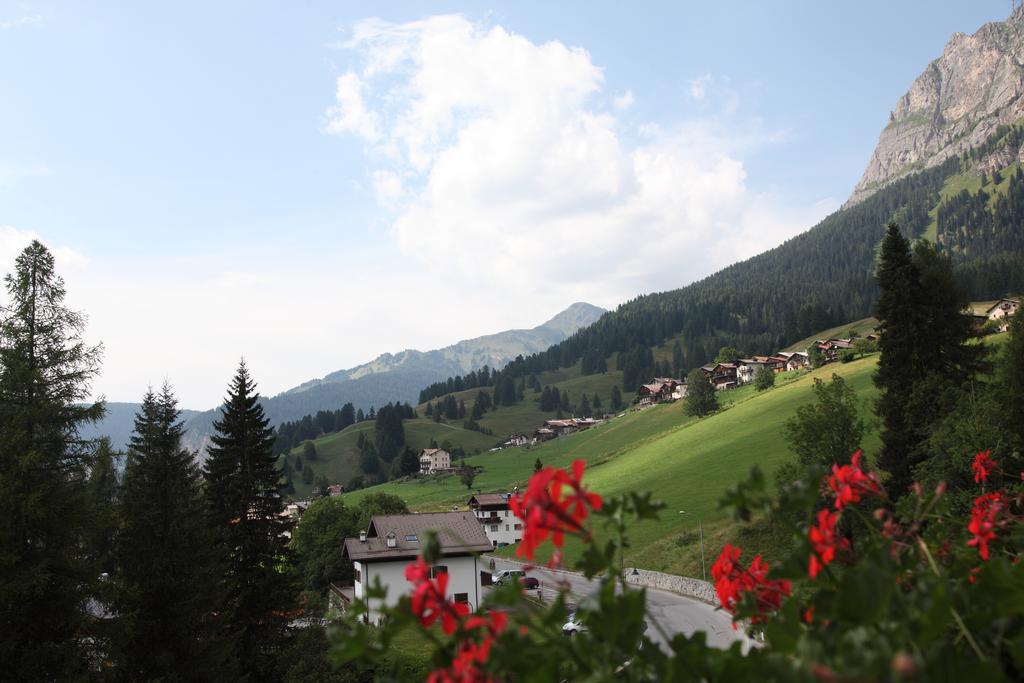 Nigritella Selva di Cadore